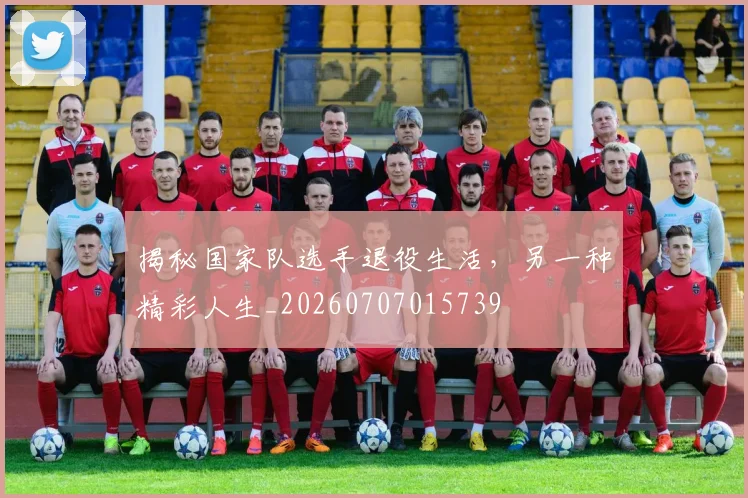 揭秘国家队选手退役生活，另一种精彩人生_20260707015739
